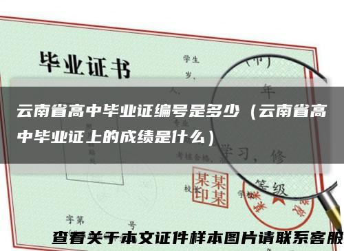 云南省高中毕业证编号是多少（云南省高中毕业证上的成绩是什么）缩略图