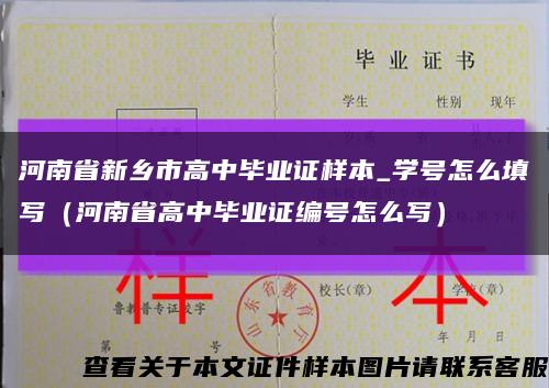 河南省新乡市高中毕业证样本_学号怎么填写（河南省高中毕业证编号怎么写）缩略图