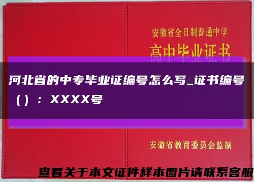 河北省的中专毕业证编号怎么写_证书编号（）：XXXX号缩略图