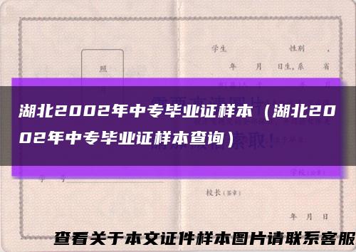 湖北2002年中专毕业证样本（湖北2002年中专毕业证样本查询）缩略图