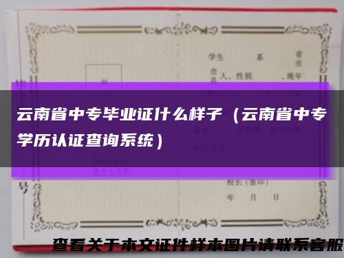 云南省中专毕业证什么样子（云南省中专学历认证查询系统）缩略图