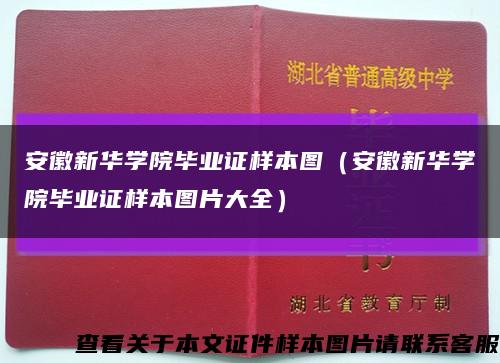 安徽新华学院毕业证样本图（安徽新华学院毕业证样本图片大全）缩略图