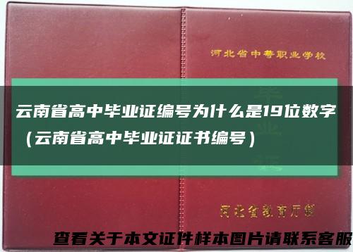 云南省高中毕业证编号为什么是19位数字（云南省高中毕业证证书编号）缩略图