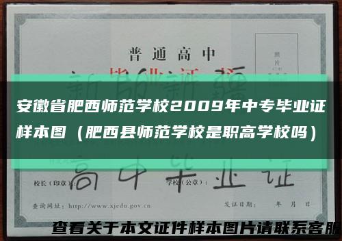 安徽省肥西师范学校2009年中专毕业证样本图（肥西县师范学校是职高学校吗）缩略图