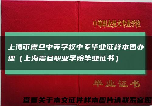 上海市震旦中等学校中专毕业证样本图办理（上海震旦职业学院毕业证书）缩略图