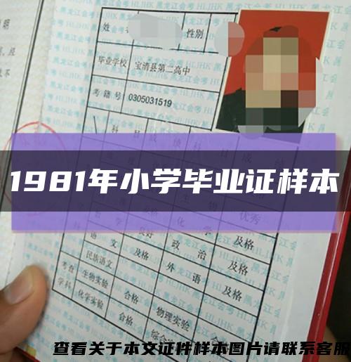 1981年小学毕业证样本缩略图