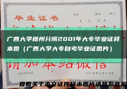 广西大学梧州分院2001年大专毕业证样本图（广西大学大专自考毕业证图片）缩略图