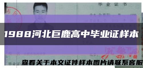 1988河北巨鹿高中毕业证样本缩略图