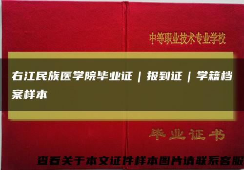 右江民族医学院毕业证｜报到证｜学籍档案样本缩略图