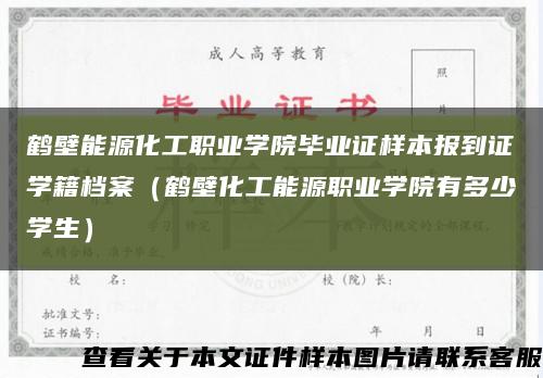 鹤壁能源化工职业学院毕业证样本报到证学籍档案（鹤壁化工能源职业学院有多少学生）缩略图