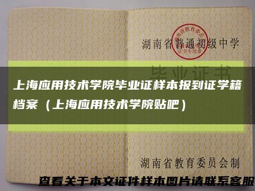 上海应用技术学院毕业证样本报到证学籍档案（上海应用技术学院贴吧）缩略图