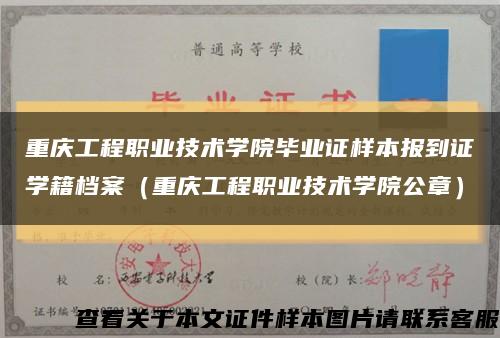 重庆工程职业技术学院毕业证样本报到证学籍档案（重庆工程职业技术学院公章）缩略图