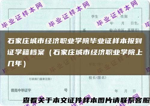 石家庄城市经济职业学院毕业证样本报到证学籍档案（石家庄城市经济职业学院上几年）缩略图