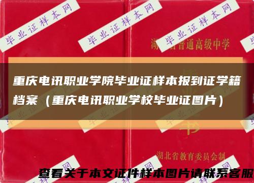 重庆电讯职业学院毕业证样本报到证学籍档案（重庆电讯职业学校毕业证图片）缩略图