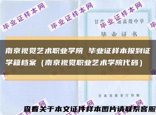 南京视觉艺术职业学院 毕业证样本报到证学籍档案（南京视觉职业艺术学院代码）缩略图
