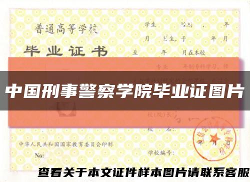 中国刑事警察学院毕业证图片缩略图