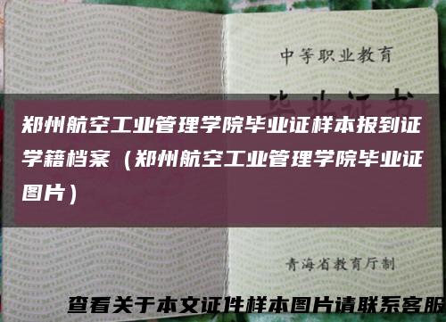 郑州航空工业管理学院毕业证样本报到证学籍档案（郑州航空工业管理学院毕业证图片）缩略图