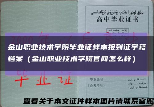 金山职业技术学院毕业证样本报到证学籍档案（金山职业技术学院官网怎么样）缩略图