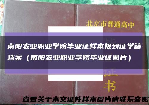 南阳农业职业学院毕业证样本报到证学籍档案（南阳农业职业学院毕业证图片）缩略图