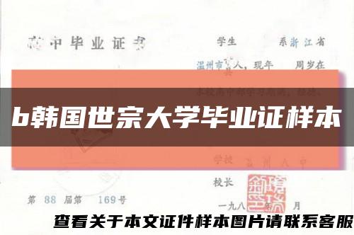 b韩国世宗大学毕业证样本缩略图