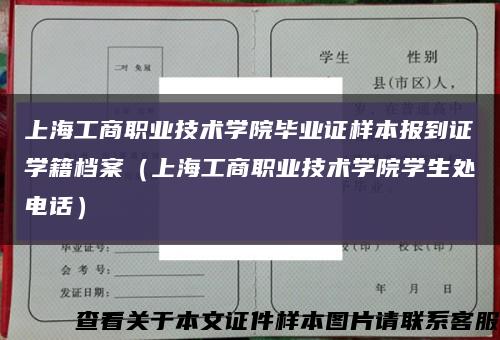 上海工商职业技术学院毕业证样本报到证学籍档案（上海工商职业技术学院学生处电话）缩略图