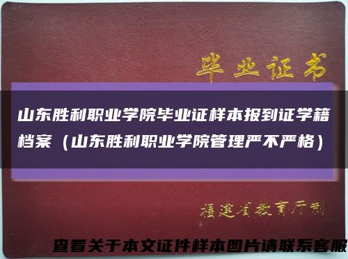 山东胜利职业学院毕业证样本报到证学籍档案（山东胜利职业学院管理严不严格）缩略图