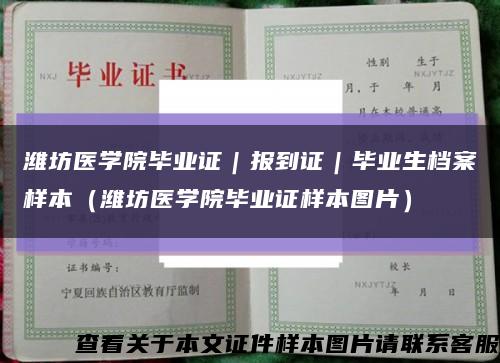 潍坊医学院毕业证｜报到证｜毕业生档案样本（潍坊医学院毕业证样本图片）缩略图