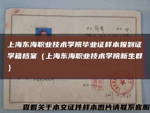上海东海职业技术学院毕业证样本报到证学籍档案（上海东海职业技术学院新生群）缩略图