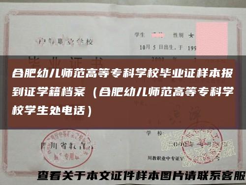 合肥幼儿师范高等专科学校毕业证样本报到证学籍档案（合肥幼儿师范高等专科学校学生处电话）缩略图
