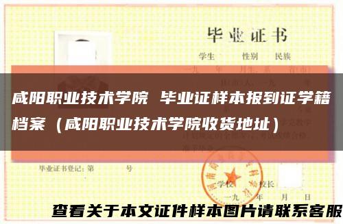 咸阳职业技术学院 毕业证样本报到证学籍档案（咸阳职业技术学院收货地址）缩略图