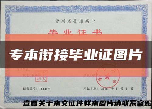 专本衔接毕业证图片缩略图