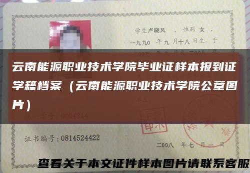 云南能源职业技术学院毕业证样本报到证学籍档案（云南能源职业技术学院公章图片）缩略图