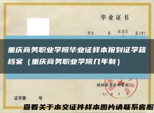 重庆商务职业学院毕业证样本报到证学籍档案（重庆商务职业学院几年制）缩略图