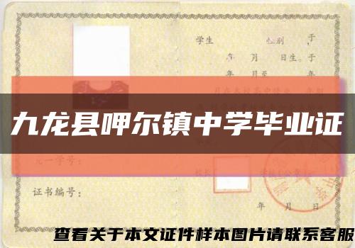 九龙县呷尔镇中学毕业证缩略图