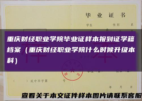 重庆财经职业学院毕业证样本报到证学籍档案（重庆财经职业学院什么时候升级本科）缩略图