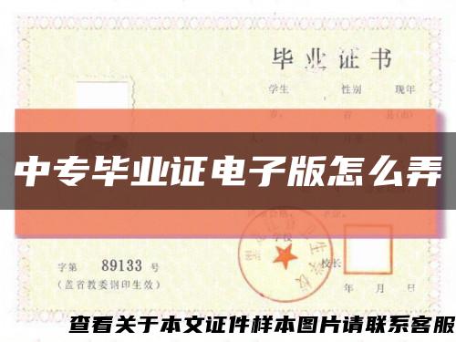 中专毕业证电子版怎么弄缩略图