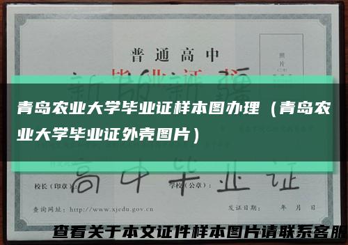 青岛农业大学毕业证样本图办理（青岛农业大学毕业证外壳图片）缩略图