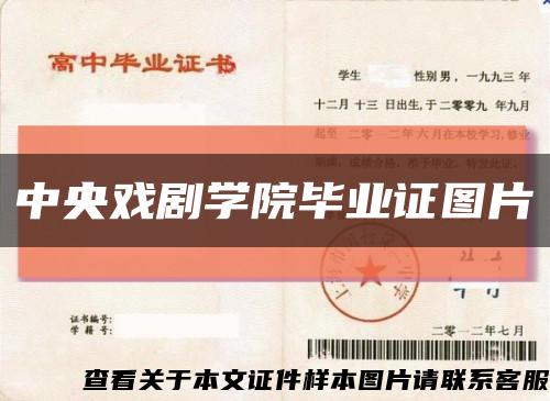 中央戏剧学院毕业证图片缩略图