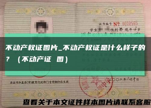 不动产权证图片_不动产权证是什么样子的？（不动产证 图）缩略图