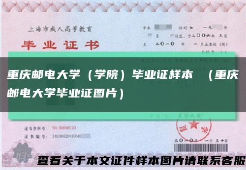 重庆邮电大学（学院）毕业证样本 （重庆邮电大学毕业证图片）缩略图