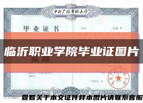 临沂职业学院毕业证图片缩略图