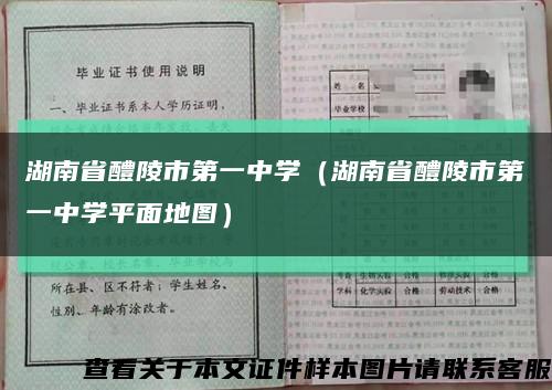 湖南省醴陵市第一中学（湖南省醴陵市第一中学平面地图）缩略图