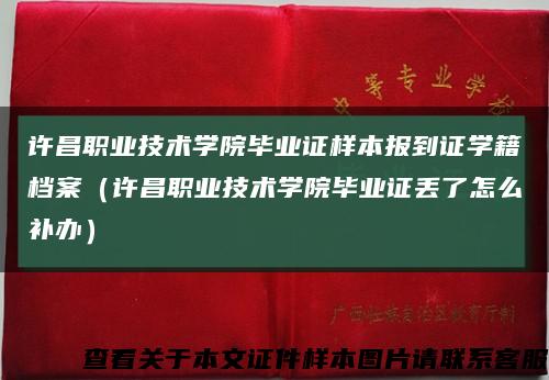 许昌职业技术学院毕业证样本报到证学籍档案（许昌职业技术学院毕业证丢了怎么补办）缩略图
