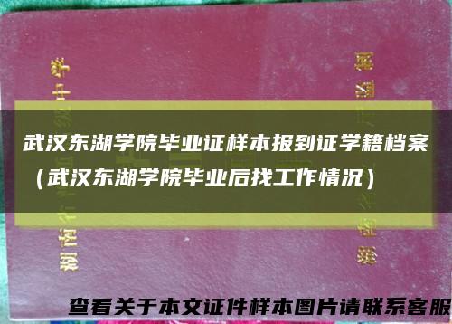 武汉东湖学院毕业证样本报到证学籍档案（武汉东湖学院毕业后找工作情况）缩略图