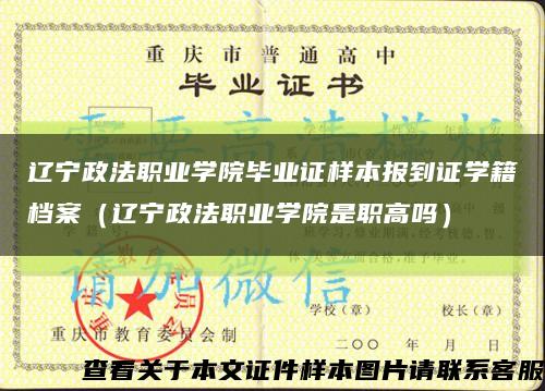 辽宁政法职业学院毕业证样本报到证学籍档案（辽宁政法职业学院是职高吗）缩略图