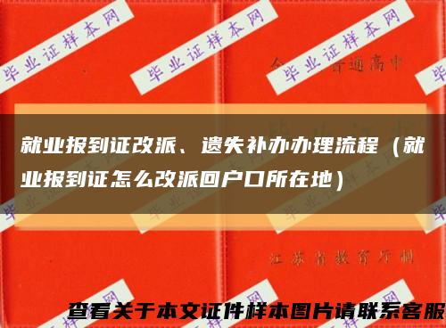 就业报到证改派、遗失补办办理流程（就业报到证怎么改派回户口所在地）缩略图