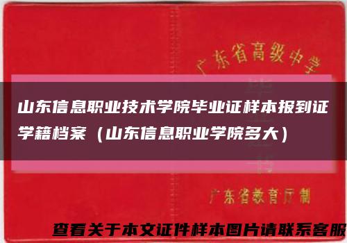 山东信息职业技术学院毕业证样本报到证学籍档案（山东信息职业学院多大）缩略图