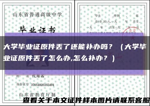 大学毕业证原件丢了还能补办吗？（大学毕业证原件丢了怎么办,怎么补办？）缩略图