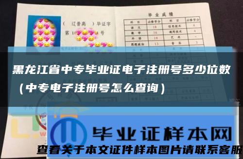 黑龙江省中专毕业证电子注册号多少位数（中专电子注册号怎么查询）缩略图