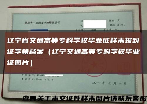 辽宁省交通高等专科学校毕业证样本报到证学籍档案（辽宁交通高等专科学校毕业证图片）缩略图